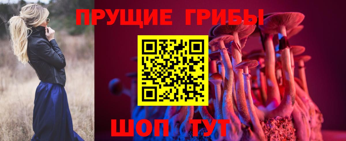 дарнет шоп  Вход с VPN  Снежинск  Псилоцибиновые грибы Cubensis  Галлюциногенные грибы Psilocybine cubensis 